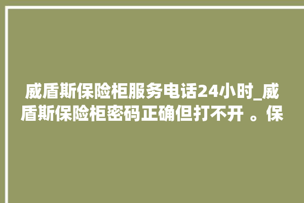 威盾斯保险柜服务电话24小时_威盾斯保险柜密码正确但打不开 。保险柜