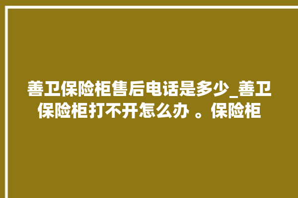 善卫保险柜售后电话是多少_善卫保险柜打不开怎么办 。保险柜