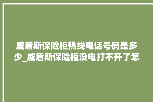 威盾斯保险柜热线电话号码是多少_威盾斯保险柜没电打不开了怎么办 。保险柜