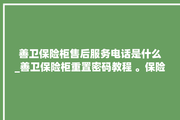 善卫保险柜售后服务电话是什么_善卫保险柜重置密码教程 。保险柜