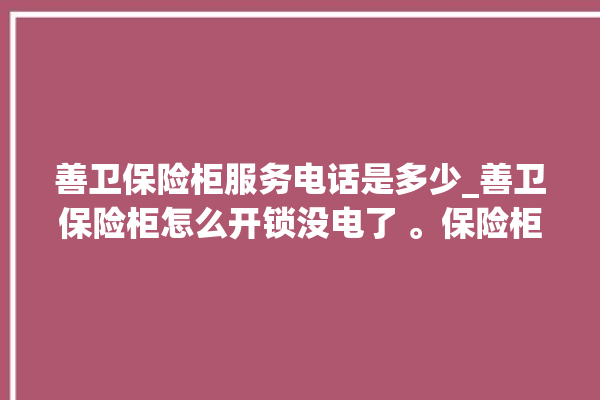 善卫保险柜服务电话是多少_善卫保险柜怎么开锁没电了 。保险柜