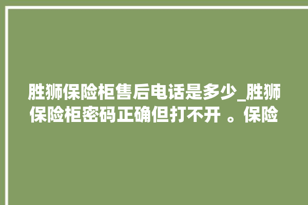 胜狮保险柜售后电话是多少_胜狮保险柜密码正确但打不开 。保险柜