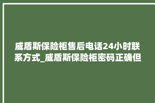 威盾斯保险柜售后电话24小时联系方式_威盾斯保险柜密码正确但打不开 。保险柜