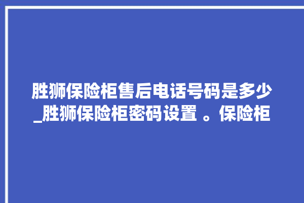 胜狮保险柜售后电话号码是多少_胜狮保险柜密码设置 。保险柜