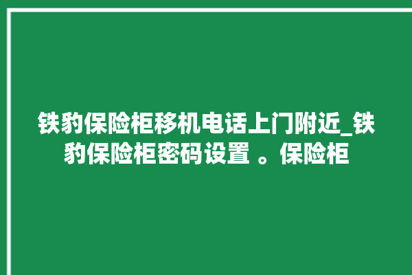 铁豹保险柜移机电话上门附近_铁豹保险柜密码设置 。保险柜