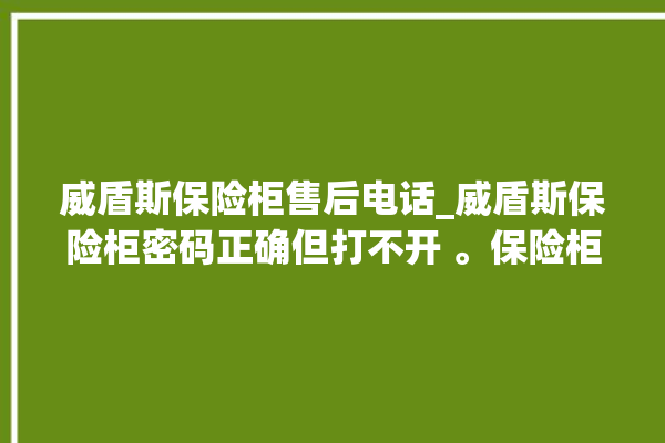 威盾斯保险柜售后电话_威盾斯保险柜密码正确但打不开 。保险柜