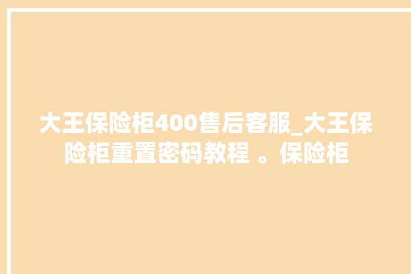 大王保险柜400售后客服_大王保险柜重置密码教程 。保险柜