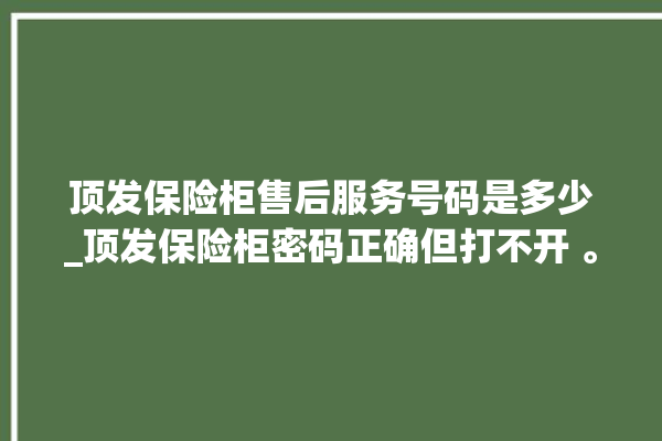 顶发保险柜售后服务号码是多少_顶发保险柜密码正确但打不开 。保险柜