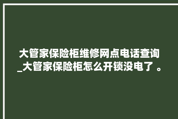 大管家保险柜维修网点电话查询_大管家保险柜怎么开锁没电了 。保险柜