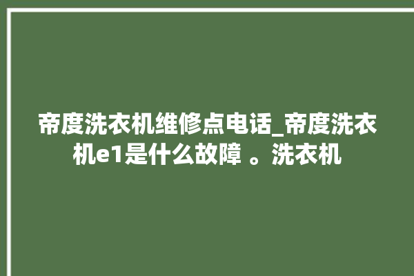 帝度洗衣机维修点电话_帝度洗衣机e1是什么故障 。洗衣机