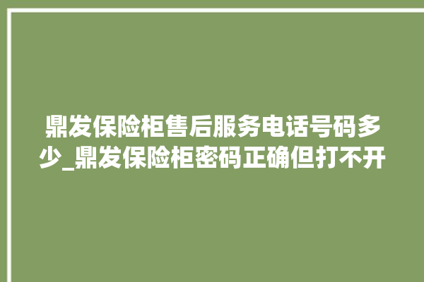 鼎发保险柜售后服务电话号码多少_鼎发保险柜密码正确但打不开 。保险柜