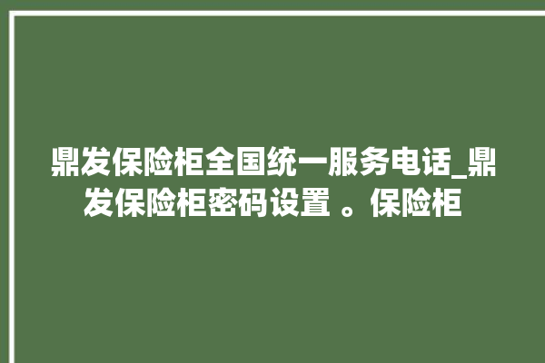 鼎发保险柜全国统一服务电话_鼎发保险柜密码设置 。保险柜