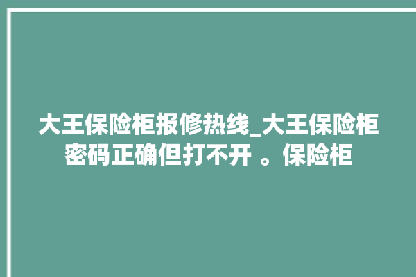 大王保险柜报修热线_大王保险柜密码正确但打不开 。保险柜