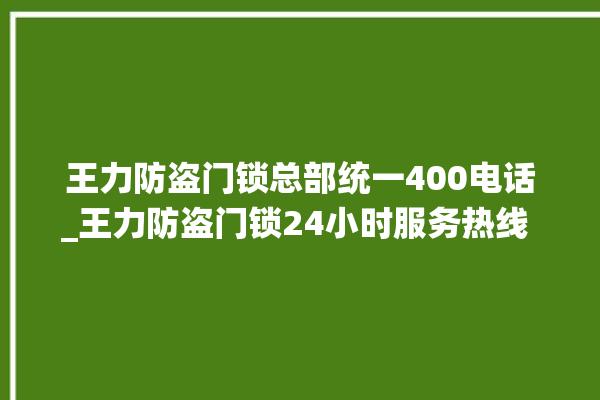 王力防盗门锁总部统一400电话_王力防盗门锁24小时服务热线 。门锁