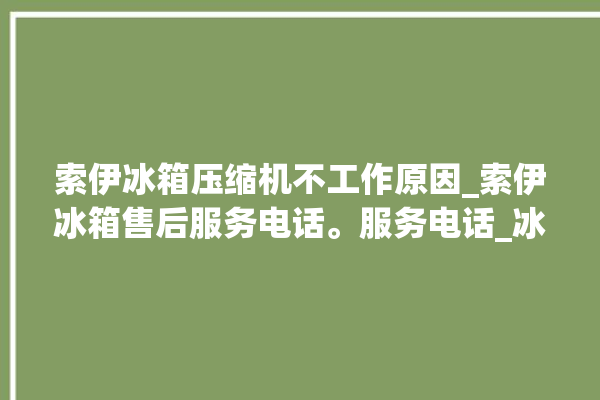 索伊冰箱压缩机不工作原因_索伊冰箱售后服务电话。服务电话_冰箱