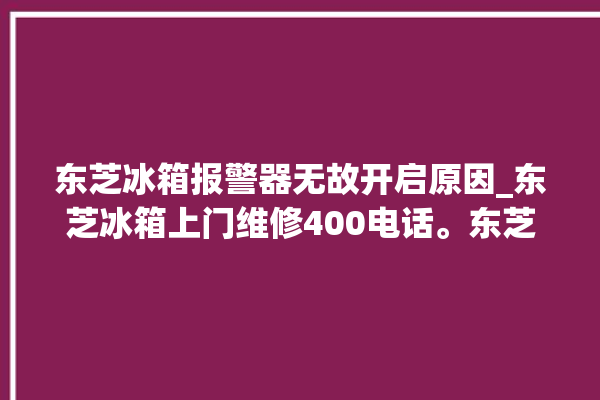 东芝冰箱报警器无故开启原因_东芝冰箱上门维修400电话。东芝_冰箱