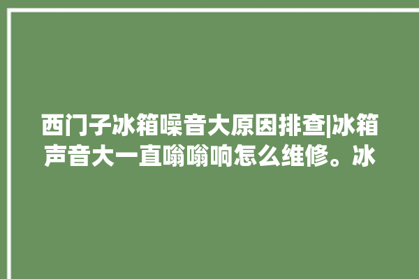 西门子冰箱噪音大原因排查|冰箱声音大一直嗡嗡响怎么维修。冰箱_噪音