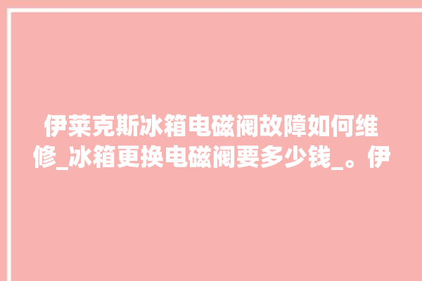 伊莱克斯冰箱电磁阀故障如何维修_冰箱更换电磁阀要多少钱_。伊莱克斯_电磁阀