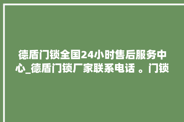 德盾门锁全国24小时售后服务中心_德盾门锁厂家联系电话 。门锁