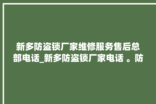 新多防盗锁厂家维修服务售后总部电话_新多防盗锁厂家电话 。防盗锁