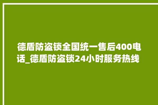 德盾防盗锁全国统一售后400电话_德盾防盗锁24小时服务热线 。防盗锁