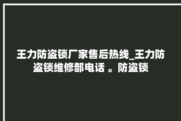 王力防盗锁厂家售后热线_王力防盗锁维修部电话 。防盗锁