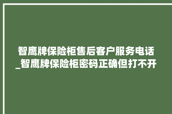 智鹰牌保险柜售后客户服务电话_智鹰牌保险柜密码正确但打不开 。保险柜