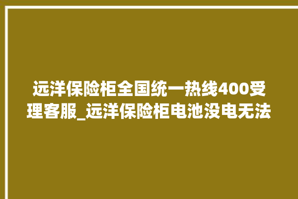 远洋保险柜全国统一热线400受理客服_远洋保险柜电池没电无法开门怎么办 。保险柜