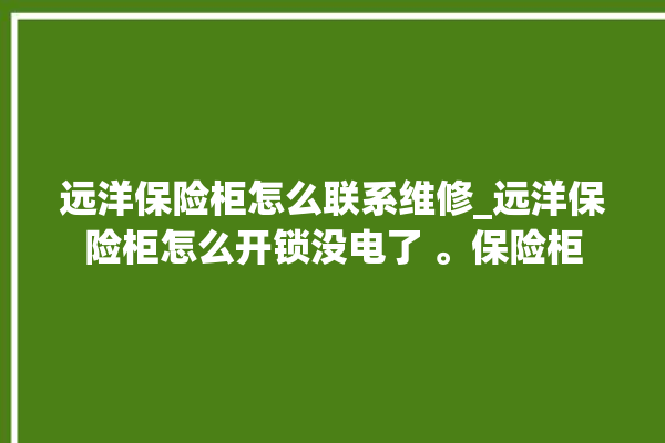 远洋保险柜怎么联系维修_远洋保险柜怎么开锁没电了 。保险柜