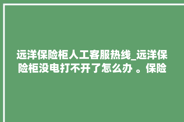 远洋保险柜人工客服热线_远洋保险柜没电打不开了怎么办 。保险柜