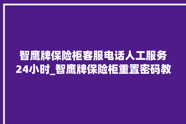 智鹰牌保险柜客服电话人工服务24小时_智鹰牌保险柜重置密码教程 。保险柜