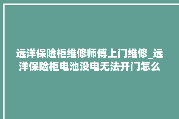 远洋保险柜维修师傅上门维修_远洋保险柜电池没电无法开门怎么办 。保险柜