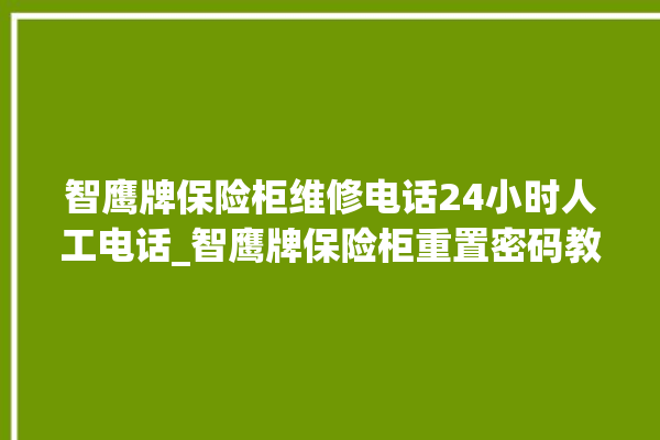 智鹰牌保险柜维修电话24小时人工电话_智鹰牌保险柜重置密码教程 。保险柜