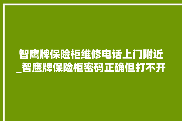 智鹰牌保险柜维修电话上门附近_智鹰牌保险柜密码正确但打不开 。保险柜