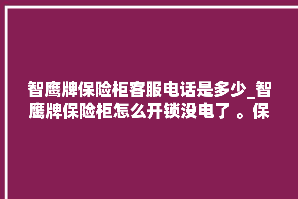 智鹰牌保险柜客服电话是多少_智鹰牌保险柜怎么开锁没电了 。保险柜