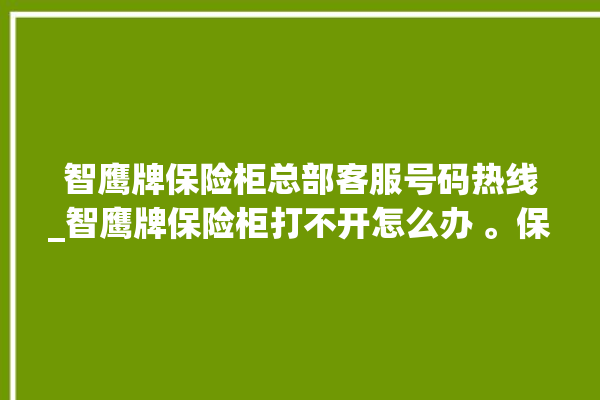 智鹰牌保险柜总部客服号码热线_智鹰牌保险柜打不开怎么办 。保险柜