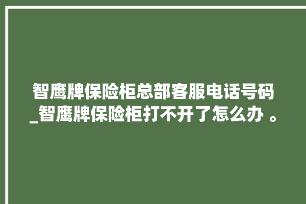 智鹰牌保险柜总部客服电话号码_智鹰牌保险柜打不开了怎么办 。保险柜