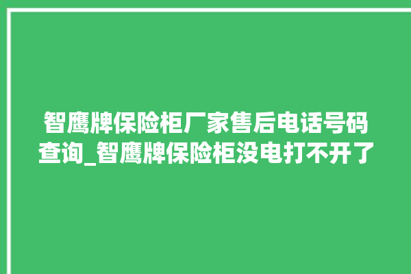 智鹰牌保险柜厂家售后电话号码查询_智鹰牌保险柜没电打不开了怎么办 。保险柜