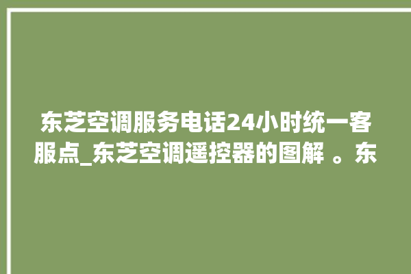 东芝空调服务电话24小时统一客服点_东芝空调遥控器的图解 。东芝