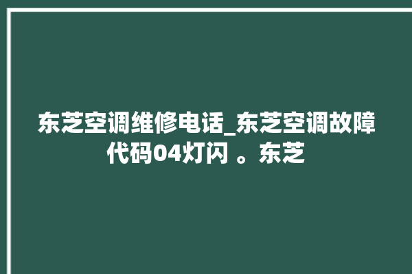 东芝空调维修电话_东芝空调故障代码04灯闪 。东芝