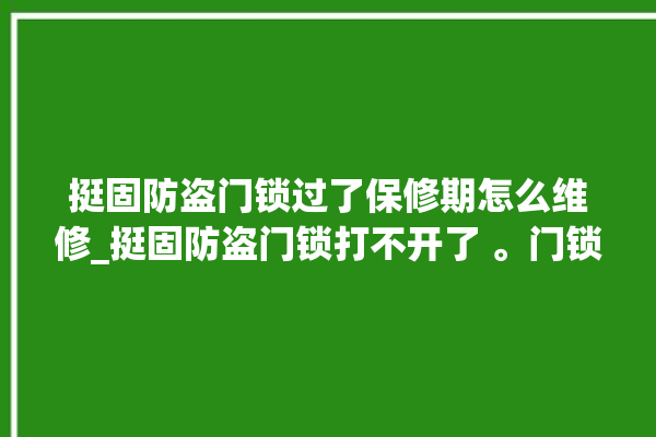 挺固防盗门锁过了保修期怎么维修_挺固防盗门锁打不开了 。门锁