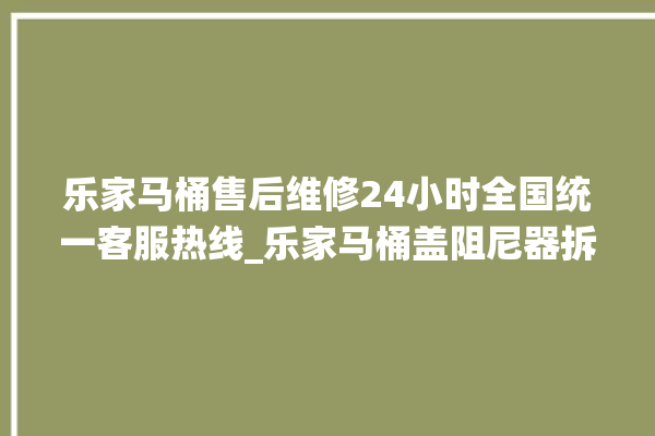 乐家马桶售后维修24小时全国统一客服热线_乐家马桶盖阻尼器拆卸图解 。马桶盖