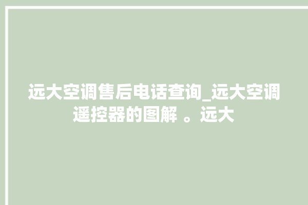 远大空调售后电话查询_远大空调遥控器的图解 。远大