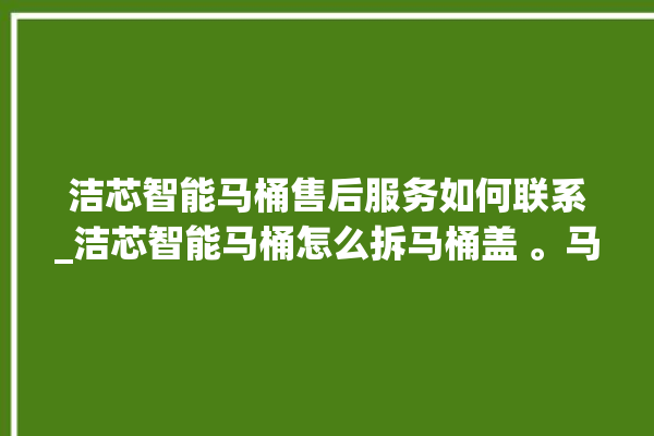 洁芯智能马桶售后服务如何联系_洁芯智能马桶怎么拆马桶盖 。马桶