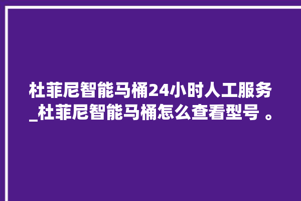 杜菲尼智能马桶24小时人工服务_杜菲尼智能马桶怎么查看型号 。马桶