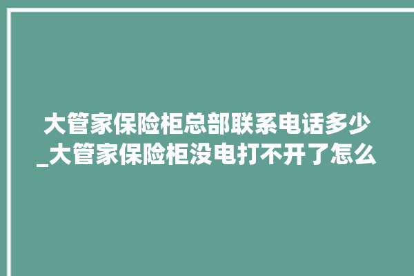 大管家保险柜总部联系电话多少_大管家保险柜没电打不开了怎么办 。保险柜