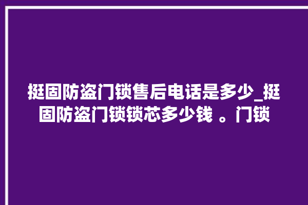 挺固防盗门锁售后电话是多少_挺固防盗门锁锁芯多少钱 。门锁