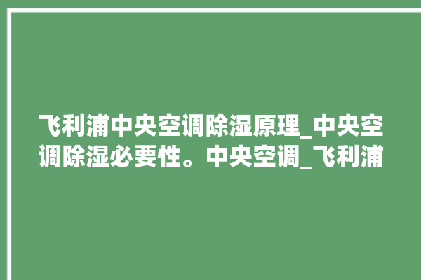 飞利浦中央空调除湿原理_中央空调除湿必要性。中央空调_飞利浦