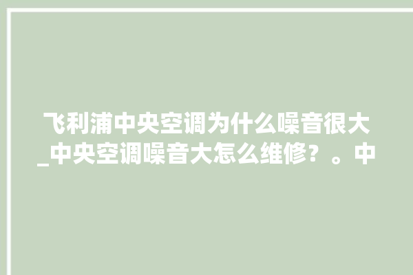 飞利浦中央空调为什么噪音很大_中央空调噪音大怎么维修？。中央空调_噪音