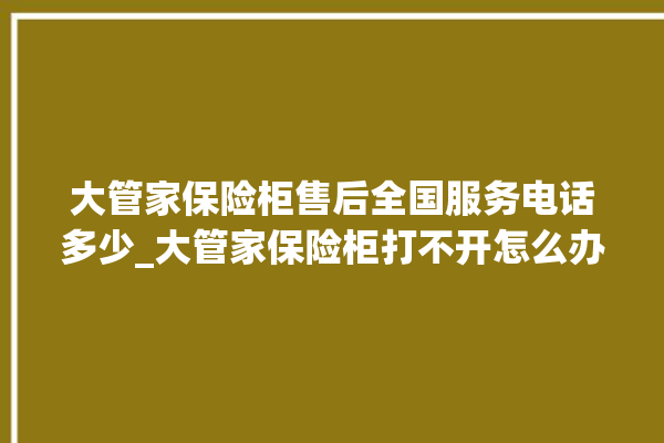 大管家保险柜售后全国服务电话多少_大管家保险柜打不开怎么办 。保险柜